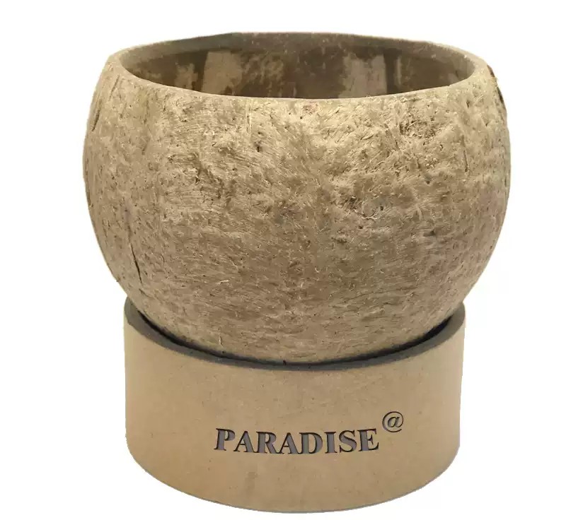 Natural Coconut Shell Bowls - Eco-Friendly Southeast Asian Tableware