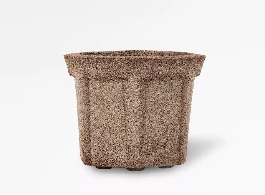 Revolutionize Your Orchid Care with Our Soilless 4.5-inch Nursery Pot
